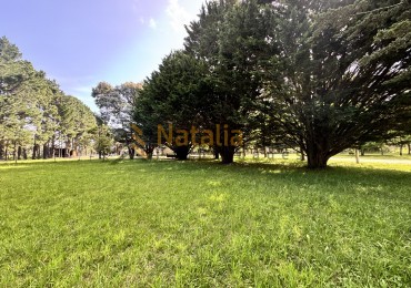 Lote en venta Pinares de Santa Clara 